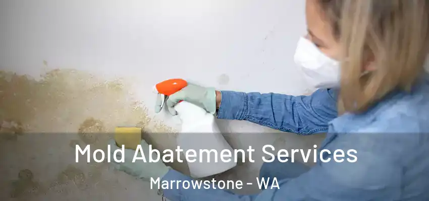  Mold Abatement Services Marrowstone - WA