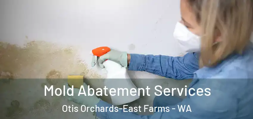 Mold Abatement Services Otis Orchards-East Farms - WA