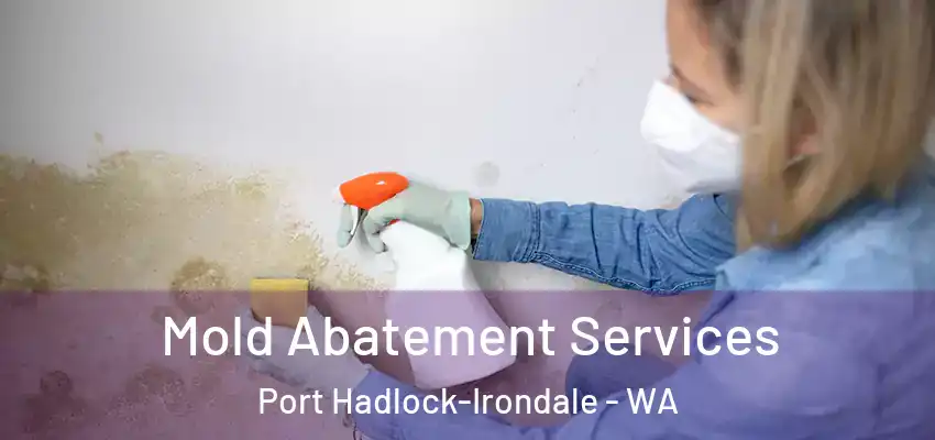  Mold Abatement Services Port Hadlock-Irondale - WA