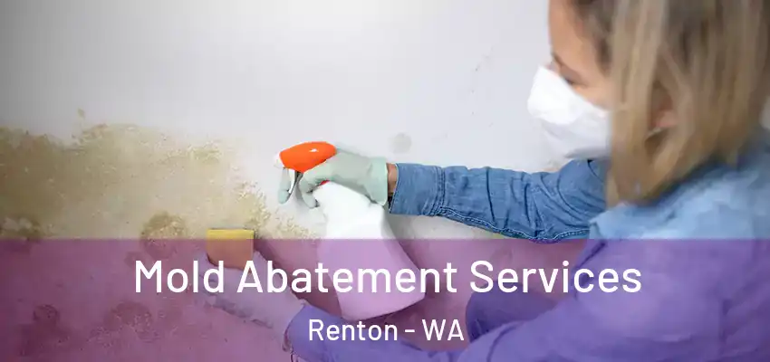  Mold Abatement Services Renton - WA