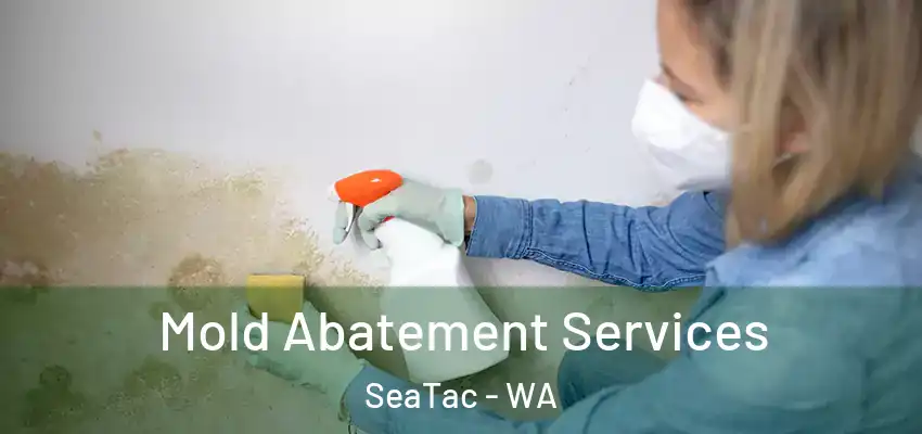  Mold Abatement Services SeaTac - WA