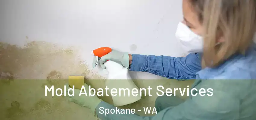  Mold Abatement Services Spokane - WA
