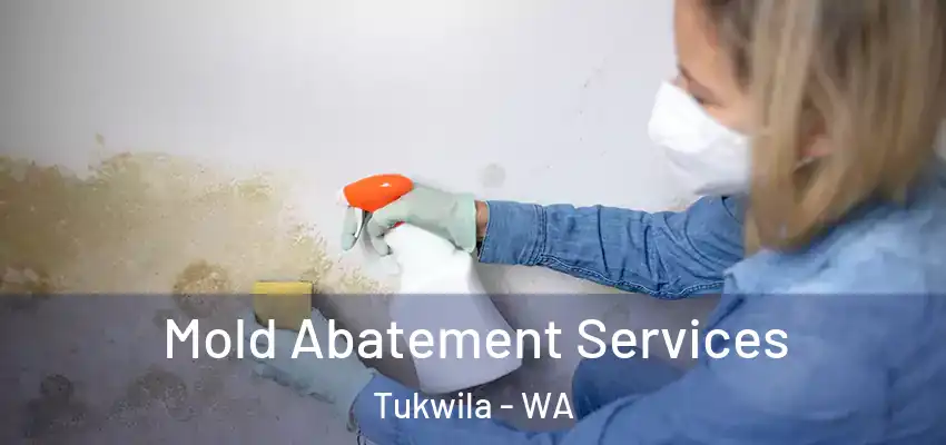  Mold Abatement Services Tukwila - WA