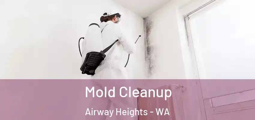  Mold Cleanup Airway Heights - WA