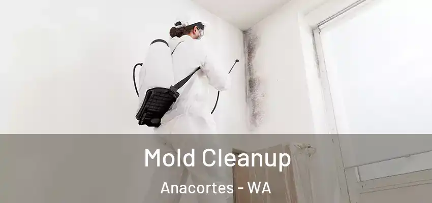  Mold Cleanup Anacortes - WA