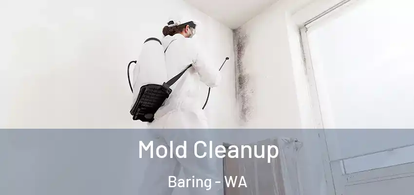  Mold Cleanup Baring - WA