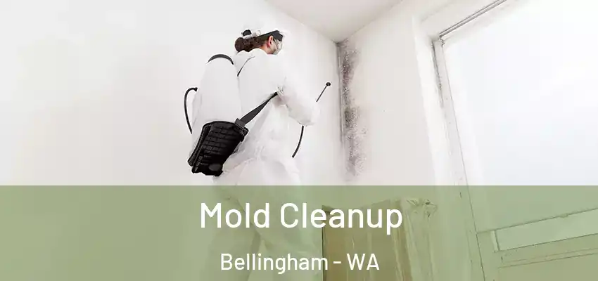  Mold Cleanup Bellingham - WA