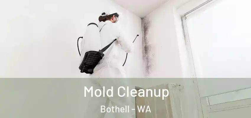  Mold Cleanup Bothell - WA