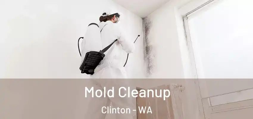  Mold Cleanup Clinton - WA