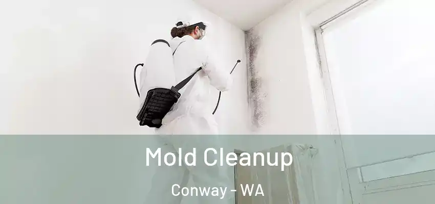  Mold Cleanup Conway - WA