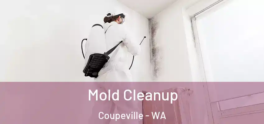 Mold Cleanup Coupeville - WA