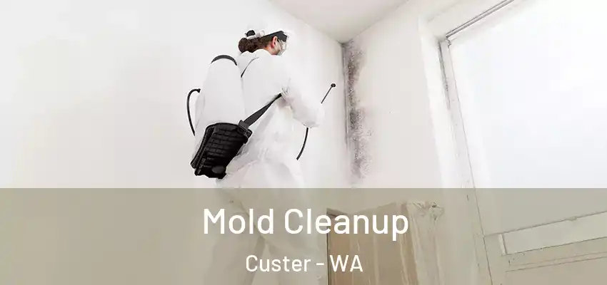  Mold Cleanup Custer - WA