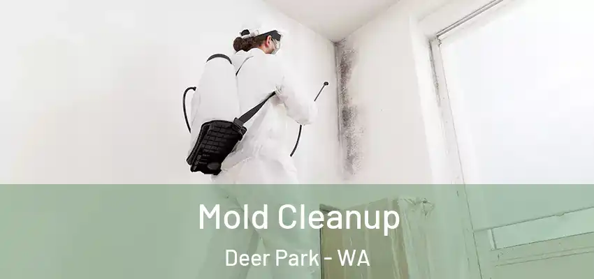  Mold Cleanup Deer Park - WA