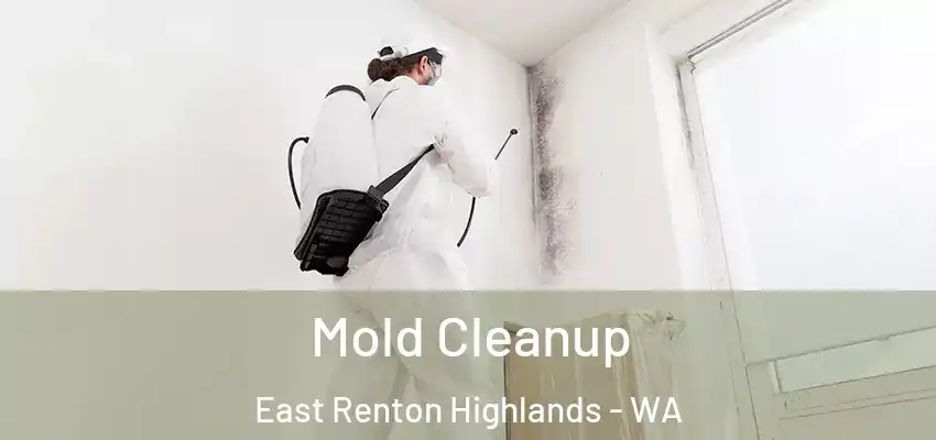  Mold Cleanup East Renton Highlands - WA