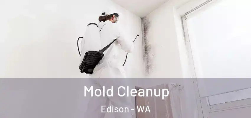  Mold Cleanup Edison - WA