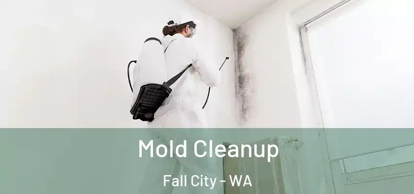  Mold Cleanup Fall City - WA