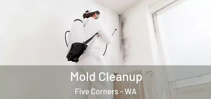  Mold Cleanup Five Corners - WA