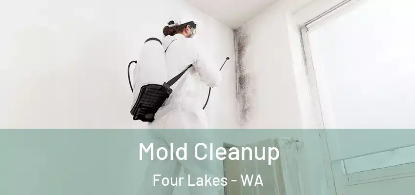  Mold Cleanup Four Lakes - WA