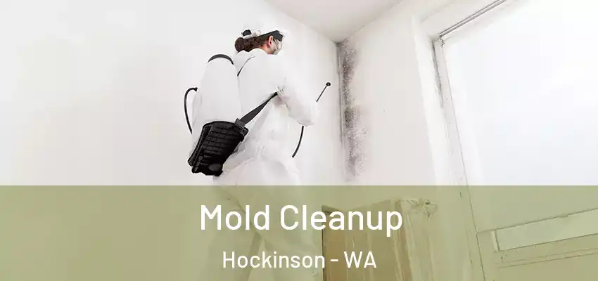  Mold Cleanup Hockinson - WA