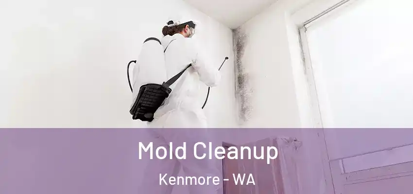  Mold Cleanup Kenmore - WA
