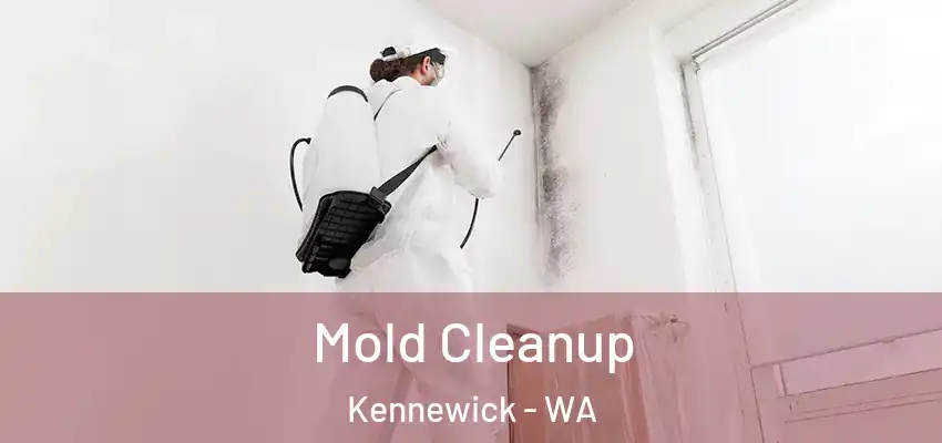  Mold Cleanup Kennewick - WA