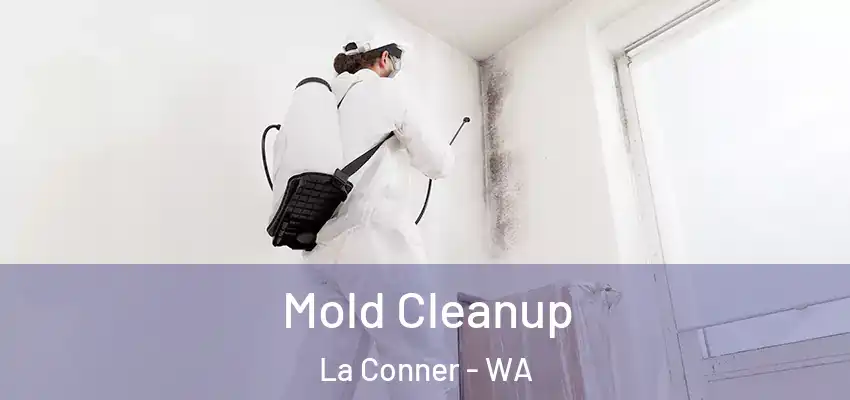 Mold Cleanup La Conner - WA