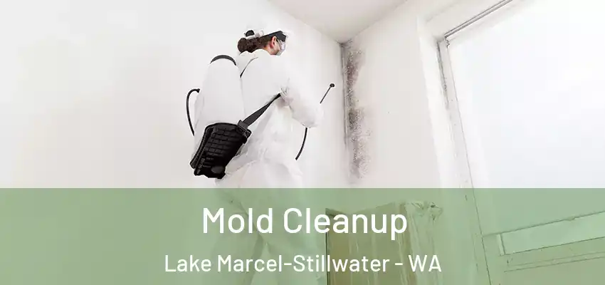  Mold Cleanup Lake Marcel-Stillwater - WA