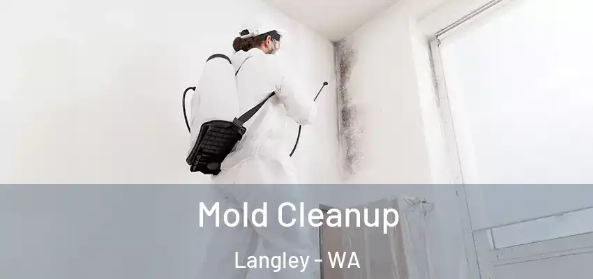 Mold Cleanup Langley - WA