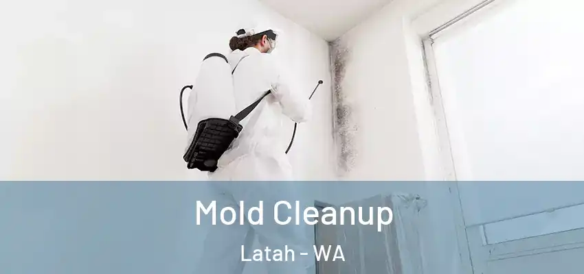 Mold Cleanup Latah - WA