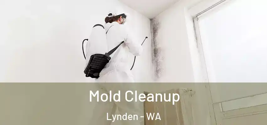  Mold Cleanup Lynden - WA
