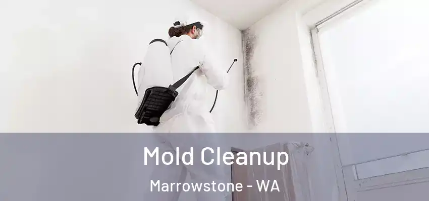 Mold Cleanup Marrowstone - WA