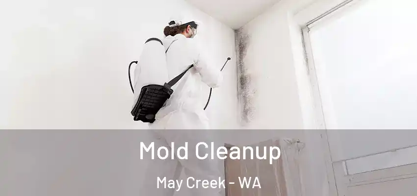  Mold Cleanup May Creek - WA