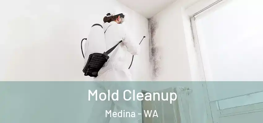  Mold Cleanup Medina - WA