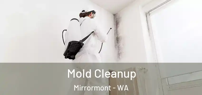  Mold Cleanup Mirrormont - WA