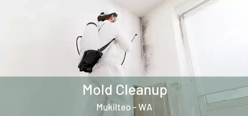  Mold Cleanup Mukilteo - WA