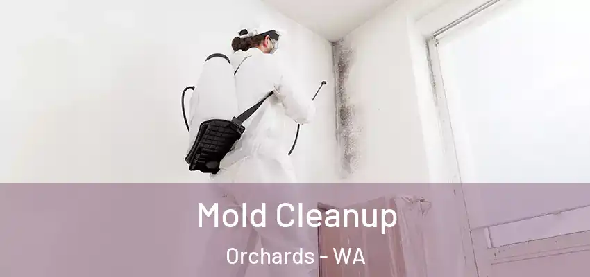  Mold Cleanup Orchards - WA