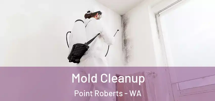  Mold Cleanup Point Roberts - WA