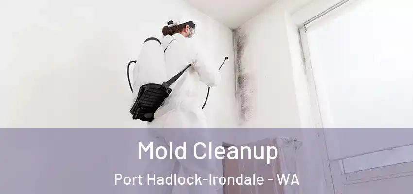 Mold Cleanup Port Hadlock-Irondale - WA
