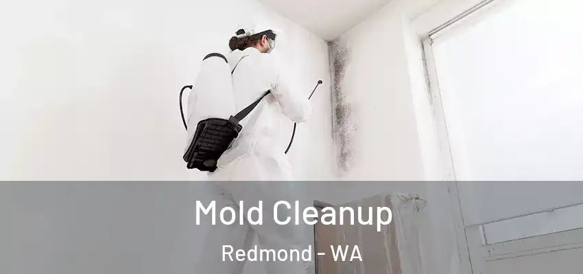  Mold Cleanup Redmond - WA
