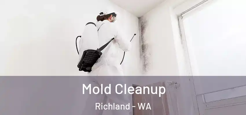  Mold Cleanup Richland - WA