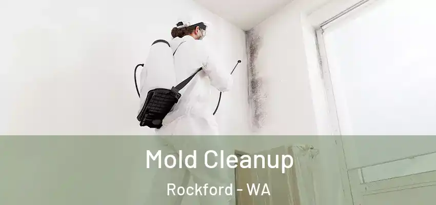  Mold Cleanup Rockford - WA