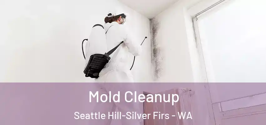  Mold Cleanup Seattle Hill-Silver Firs - WA
