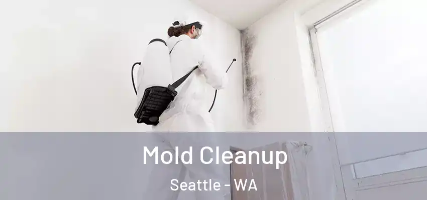 Mold Cleanup Seattle - WA