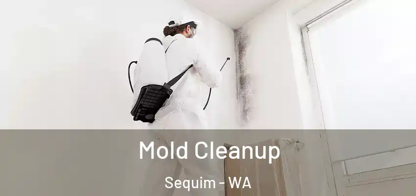 Mold Cleanup Sequim - WA