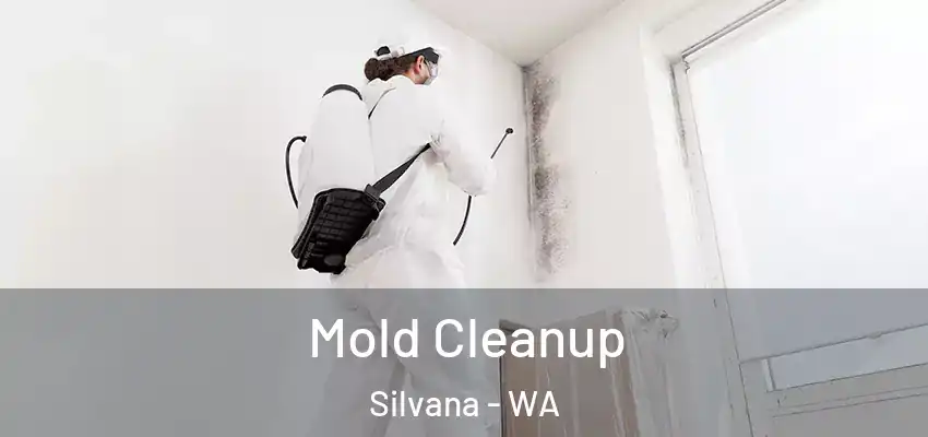  Mold Cleanup Silvana - WA