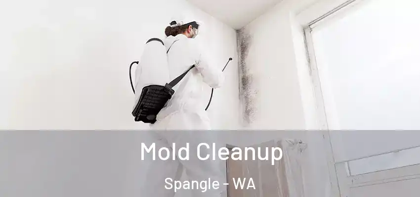  Mold Cleanup Spangle - WA