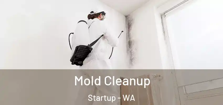  Mold Cleanup Startup - WA