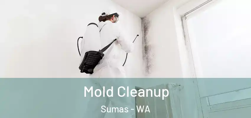  Mold Cleanup Sumas - WA