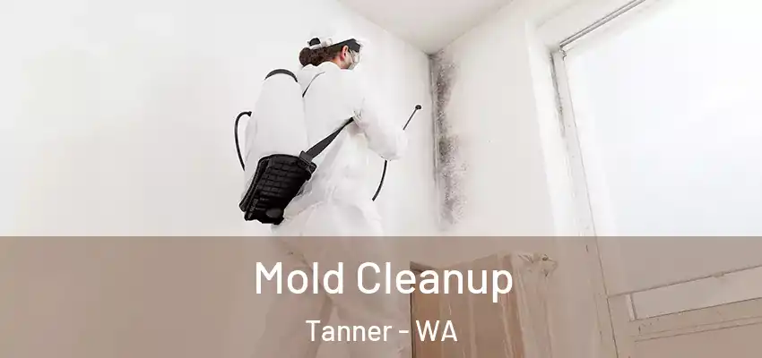  Mold Cleanup Tanner - WA