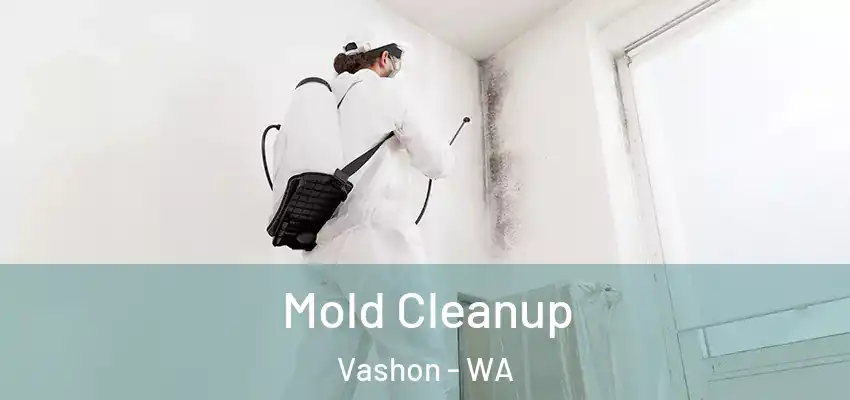  Mold Cleanup Vashon - WA